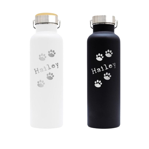 two stainless steel water bottles for pet owners removebg preview